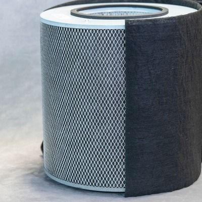 Austin Air Immunity Machine Replacement Filter FR444A